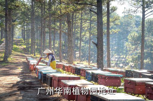 廣州華南植物園地址