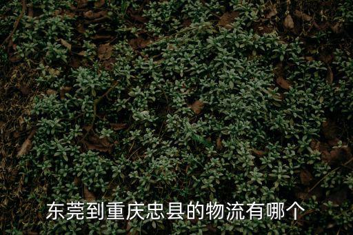 東莞到重慶忠縣的物流有哪個
