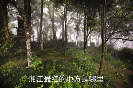 湘江最紅的地方是哪里