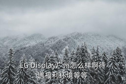 LG Display廣州怎么樣啊待遇福利環(huán)境等等