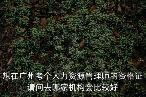 想在廣州考個人力資源管理師的資格證請問去哪家機構會比較好
