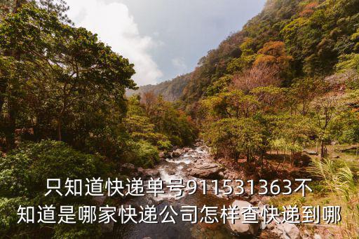廣州圓盟服飾有限公司 馮斌02，只知道快遞單號911531363不知道是哪家快遞公司怎樣查快遞到哪