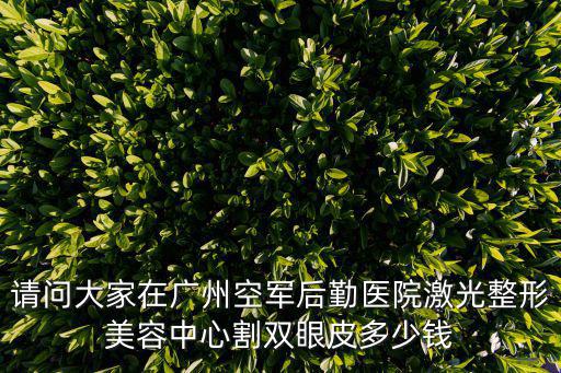請(qǐng)問(wèn)大家在廣州空軍后勤醫(yī)院激光整形美容中心割雙眼皮多少錢(qián)