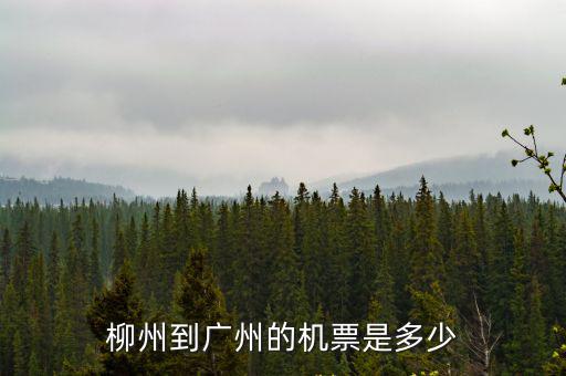 柳州到廣州的機(jī)票是多少