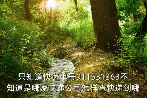 只知道快遞單號911531363不知道是哪家快遞公司怎樣查快遞到哪