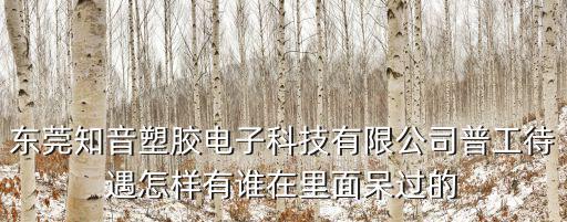 東莞知音塑膠電子科技有限公司普工待遇怎樣有誰在里面呆過的
