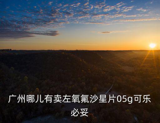 廣州鹽酸莫西沙星片那里賣，廣州那里能買到鹽酸左氧氟沙星片05G