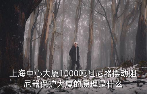 上海中心大廈1000噸阻尼器擺動(dòng)阻尼器保護(hù)大廈的原理是什么