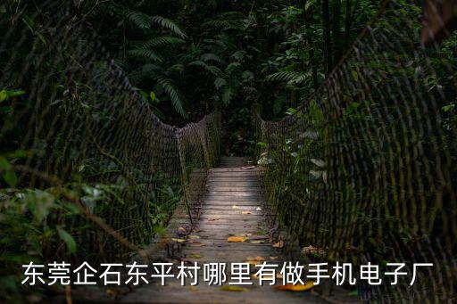 東莞企石東平村哪里有做手機電子廠