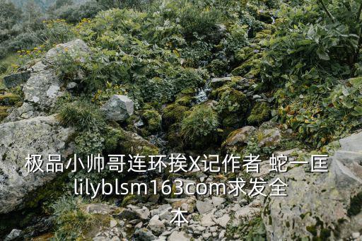極品小帥哥連環(huán)挨X記作者 蛇一匡 lilyblsm163com求發(fā)全本