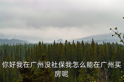 廣州買(mǎi)房不夠社保，剛來(lái)廣州想在廣州買(mǎi)房沒(méi)有廣州社保能不能購(gòu)房