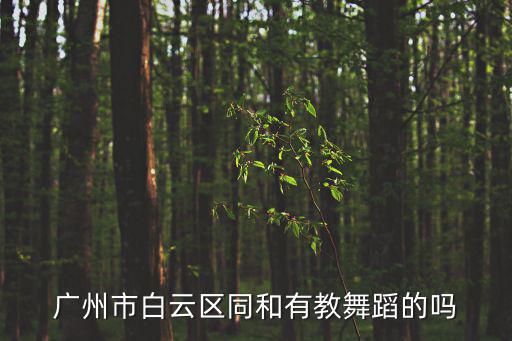 廣州市白云區同和有教舞蹈的嗎