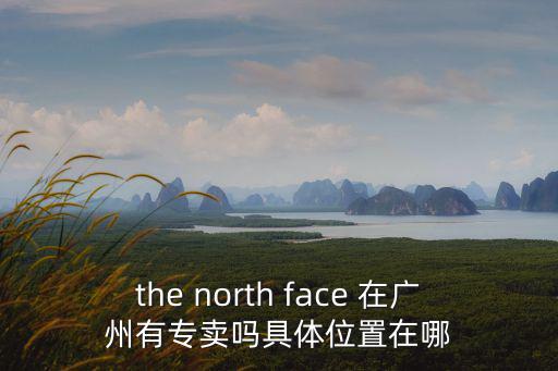 the north face 廣州專賣店，哪有the northface專賣店