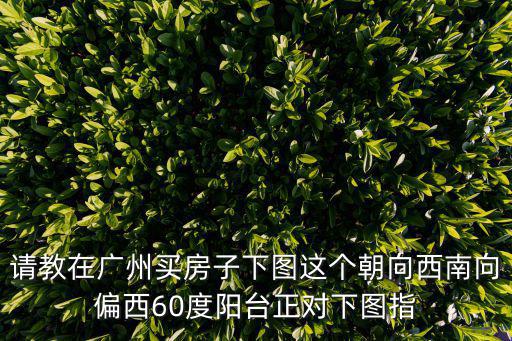 請教在廣州買房子下圖這個朝向西南向偏西60度陽臺正對下圖指