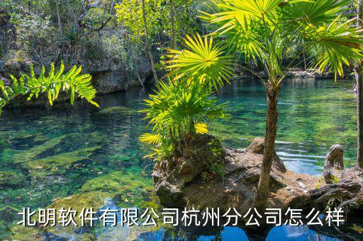 北明軟件有限公司杭州分公司怎么樣
