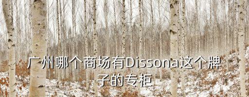 廣州哪個商場有Dissona這個牌子的專柜