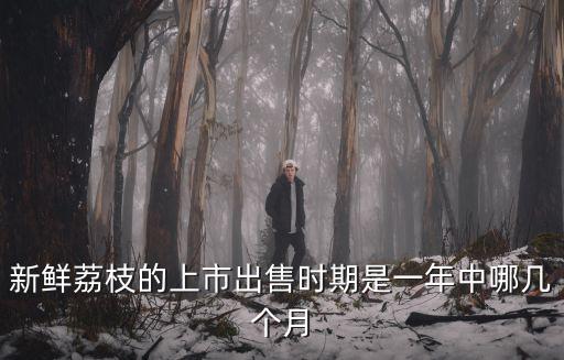 新鮮荔枝的上市出售時期是一年中哪幾個月