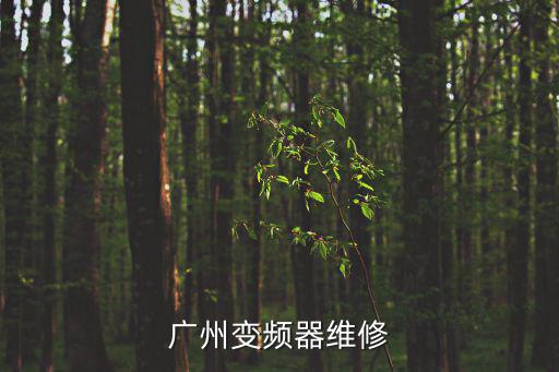廣州變頻器維修