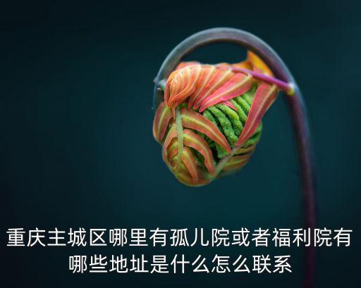 重慶主城區哪里有孤兒院或者福利院有哪些地址是什么怎么聯系
