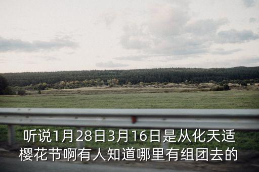 聽說1月28日3月16日是從化天適櫻花節啊有人知道哪里有組團去的