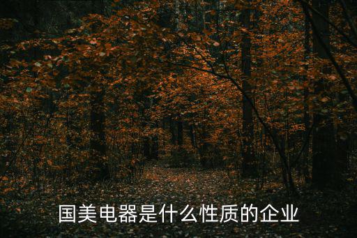國美電器是什么性質的企業
