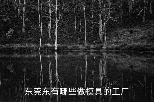 東莞東有哪些做模具的工廠