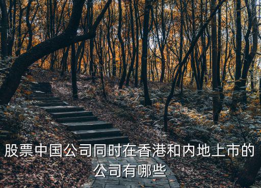 股票中國(guó)公司同時(shí)在香港和內(nèi)地上市的公司有哪些