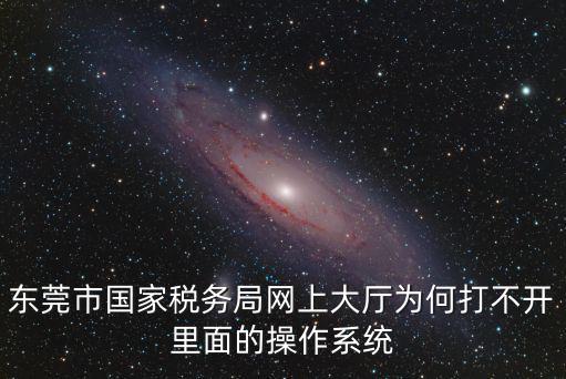 東莞市國家稅務局網上大廳為何打不開里面的操作系統