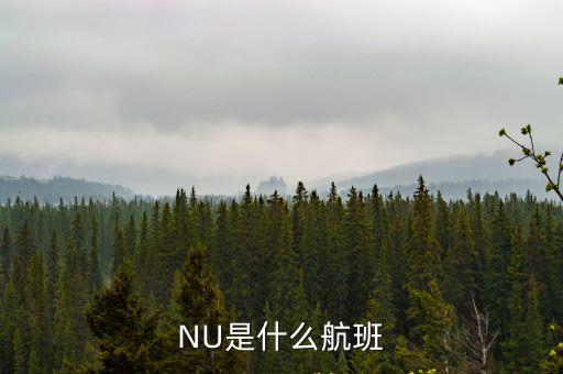 NU是什么航班