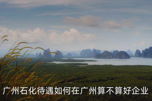 廣州石化待遇如何在廣州算不算好企業(yè)