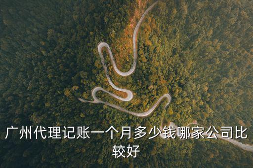 廣州代理記賬一個月多少錢哪家公司比較好