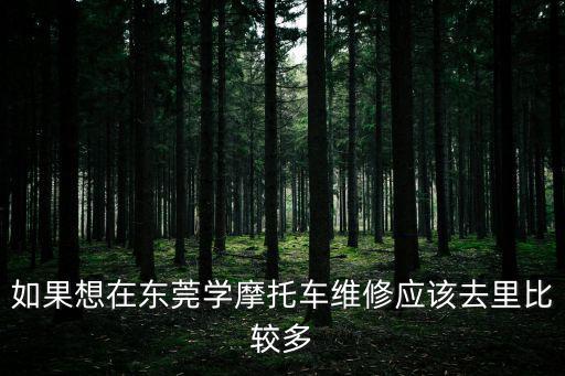 如果想在東莞學(xué)摩托車維修應(yīng)該去里比較多