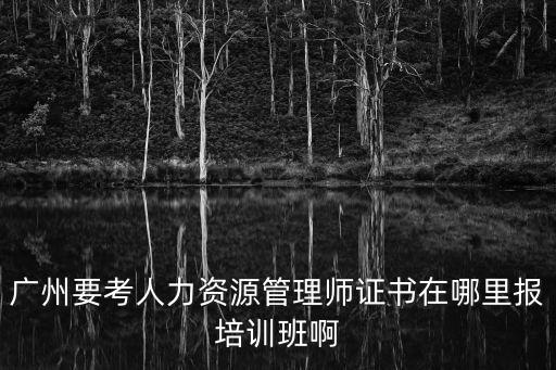 廣州要考人力資源管理師證書在哪里報培訓班啊