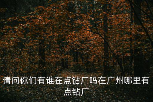 請問你們有誰在點鉆廠嗎在廣州哪里有點鉆廠