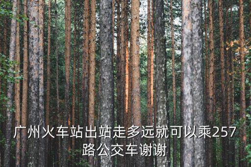 廣州火車站出站走多遠就可以乘257路公交車謝謝