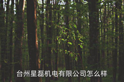 臺州星磊機電有限公司怎么樣