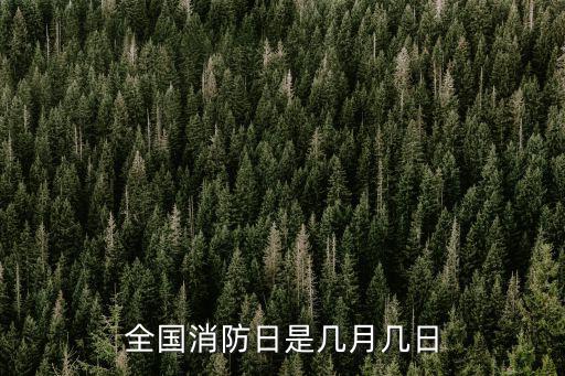 全國消防，全國消防宣傳日是哪一天