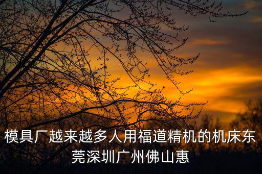 模具廠越來越多人用福道精機的機床東莞深圳廣州佛山惠