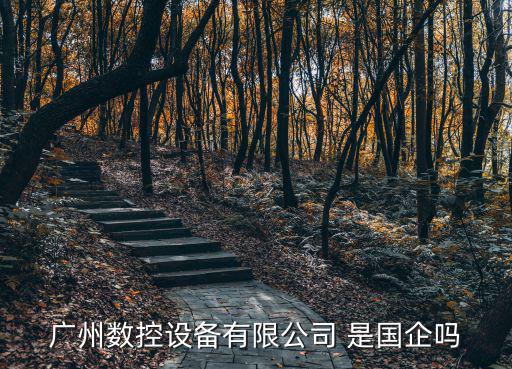 廣州數控設備有限公司 是國企嗎