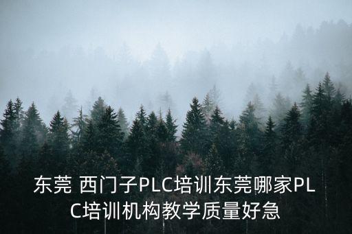 東莞西門子plc程序設計，東莞有哪些PLC編程設計公司