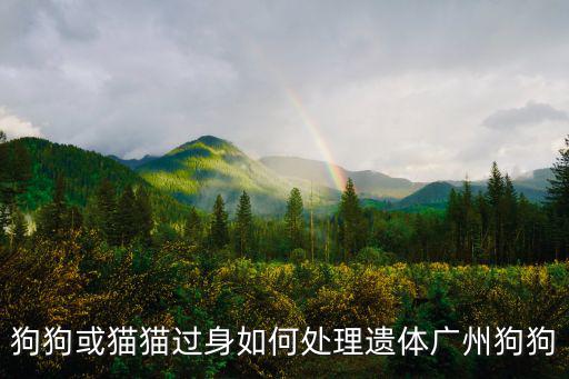 狗狗或貓貓過身如何處理遺體廣州狗狗