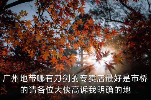 廣州地帶哪有刀劍的專賣店最好是市橋的請各位大俠高訴我明確的地