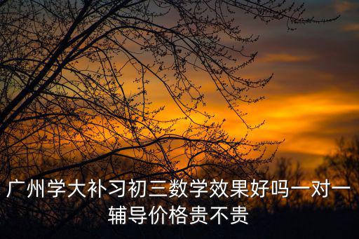 廣州學(xué)大補(bǔ)習(xí)初三數(shù)學(xué)效果好嗎一對(duì)一輔導(dǎo)價(jià)格貴不貴