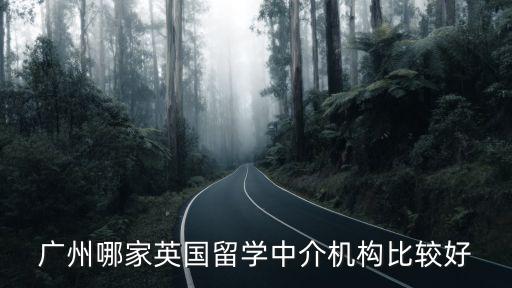 廣州幻嘉網(wǎng)絡(luò)，廣州美盟企業(yè)管理咨詢有限公司是不是騙子啊是不是做打火機(jī)的啊