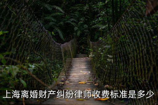 上海離婚律師多少錢，上海離婚財產糾紛律師收費標準是多少