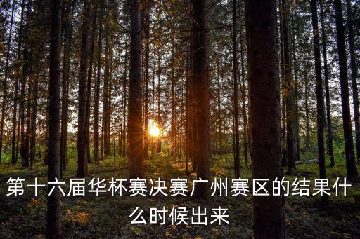 第十六屆華杯賽決賽廣州賽區的結果什么時候出來