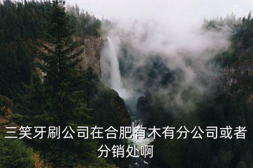 三笑牙刷公司在合肥有木有分公司或者分銷(xiāo)處啊