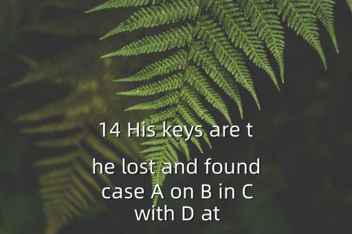 14 His keys are the lost and found case A on B in C with D at