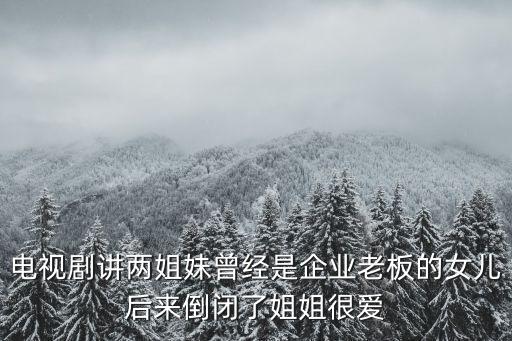 電視劇講兩姐妹曾經是企業老板的女兒后來倒閉了姐姐很愛