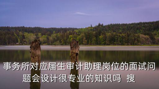 事務所對應屆生審計助理崗位的面試問題會設計很專業的知識嗎  搜